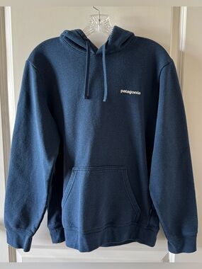Patagonia Boardshort Logo Uprisal Hoody